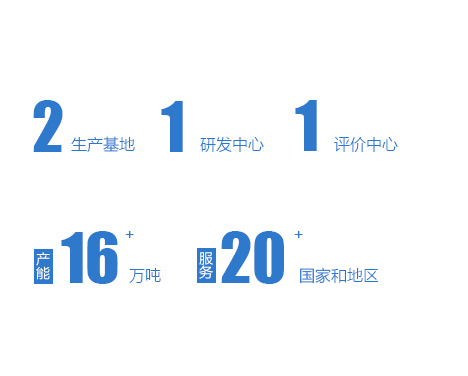 公司实力