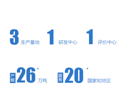 公司实力